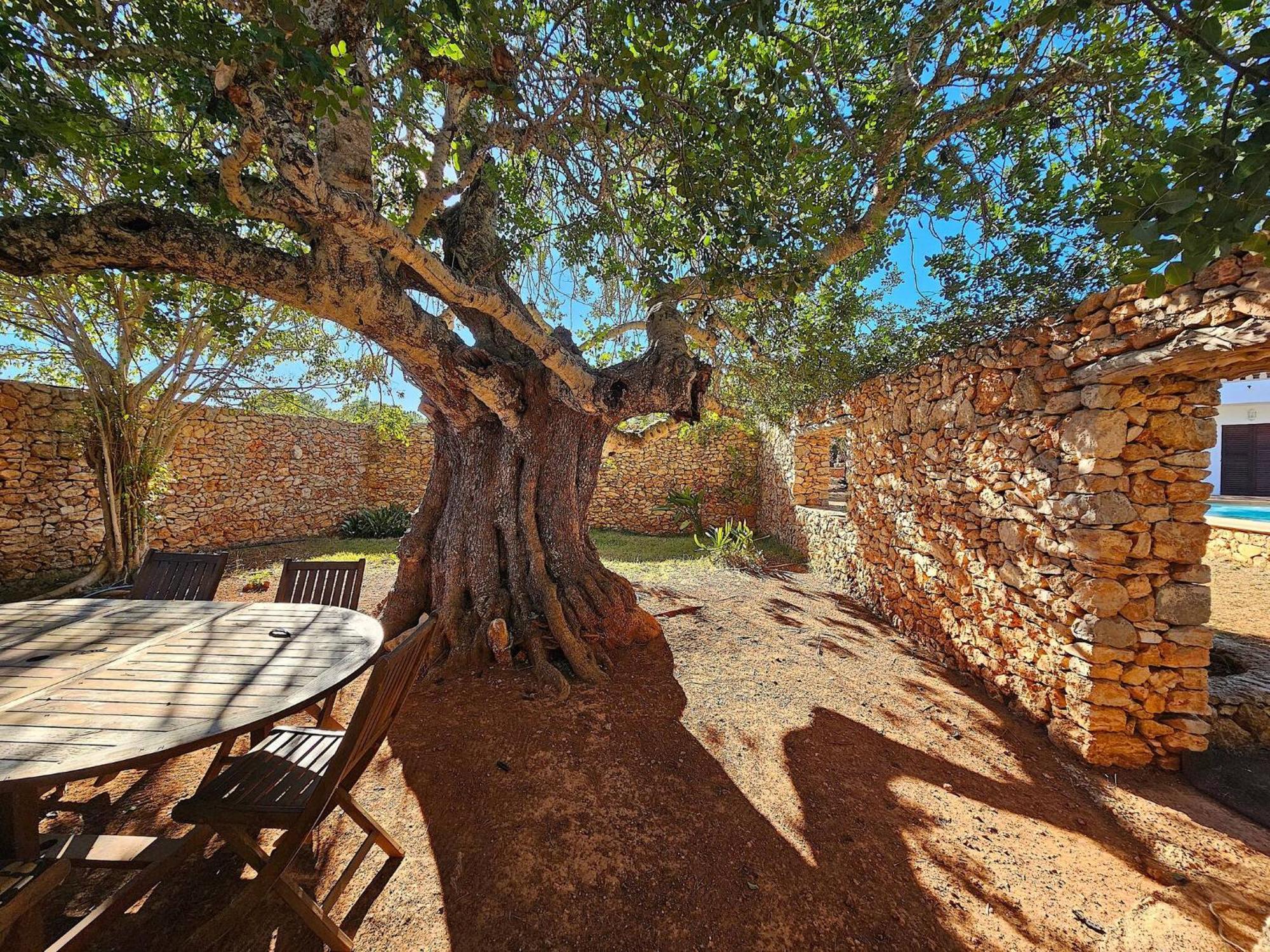 Cala Jondal "Can Amanaya" San José Exterior foto